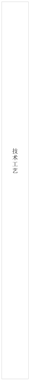 技术工艺